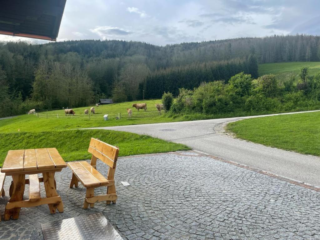 Ferienwohnung ,Hoizmann' Pinsdorf Extérieur photo